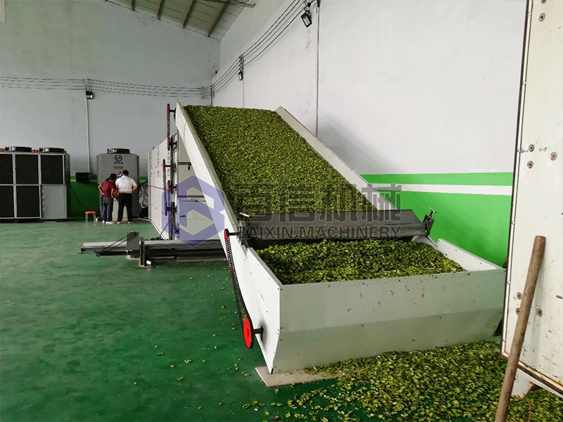 福建網帶烘干機